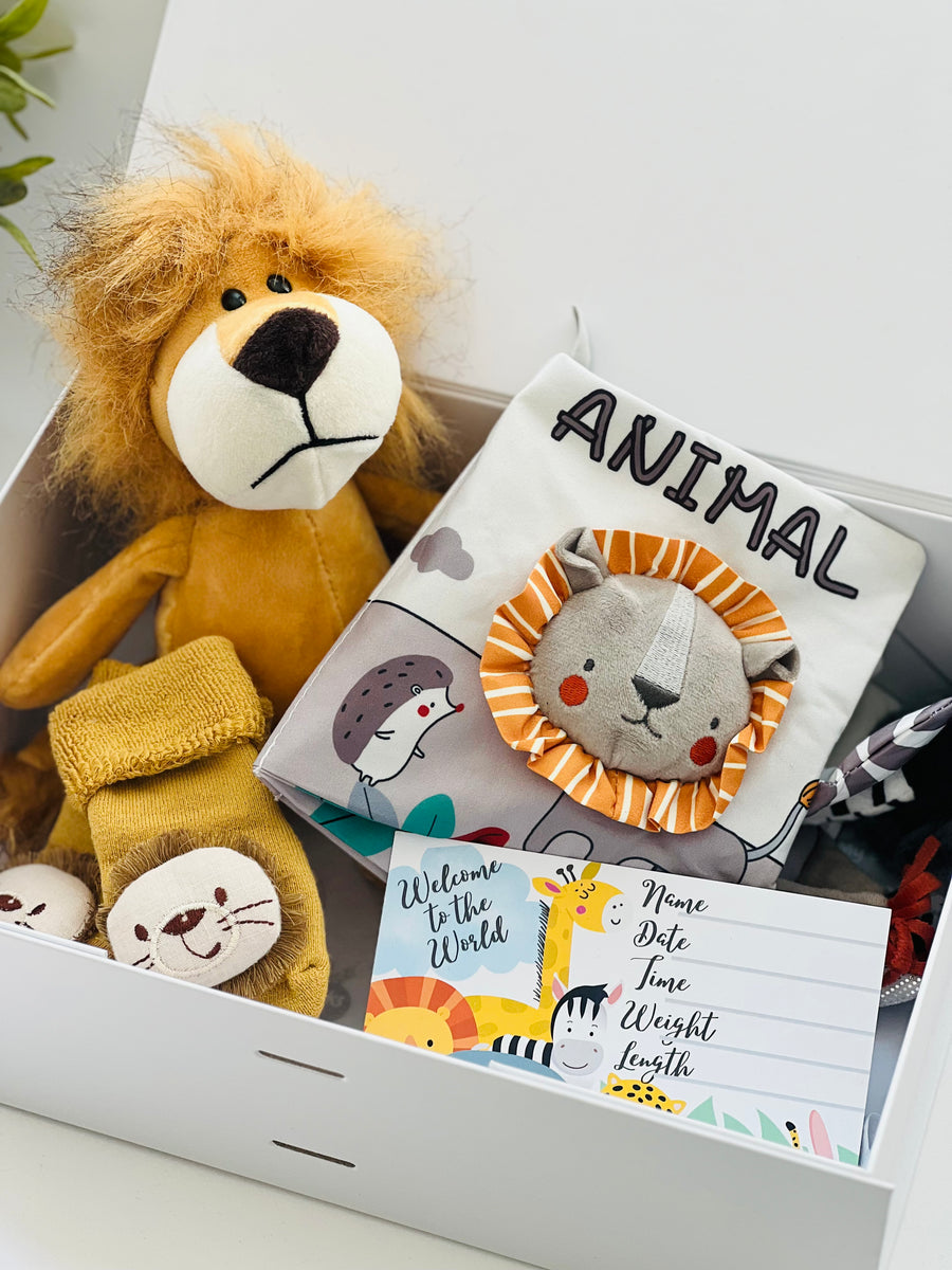Baby Gift Box - Lion – mybabysocks.co.uk