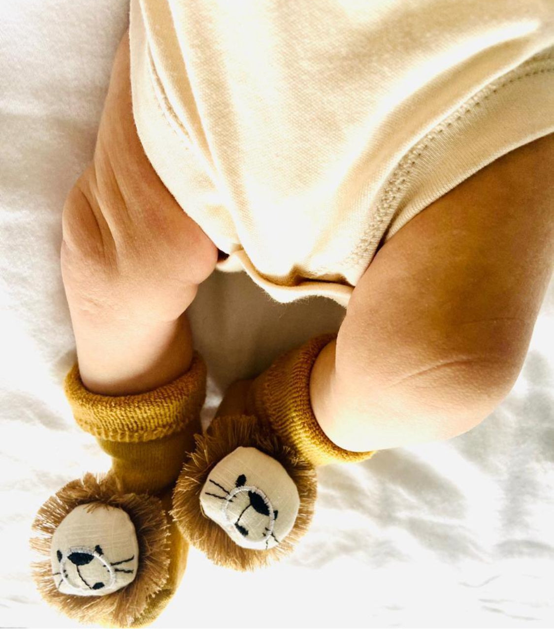 Jungle Lion Rattle Baby Socks